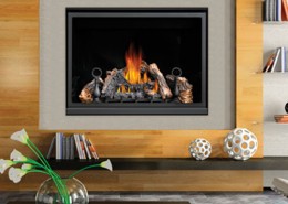 napoleon-gas-fireplace-highlands-ranch